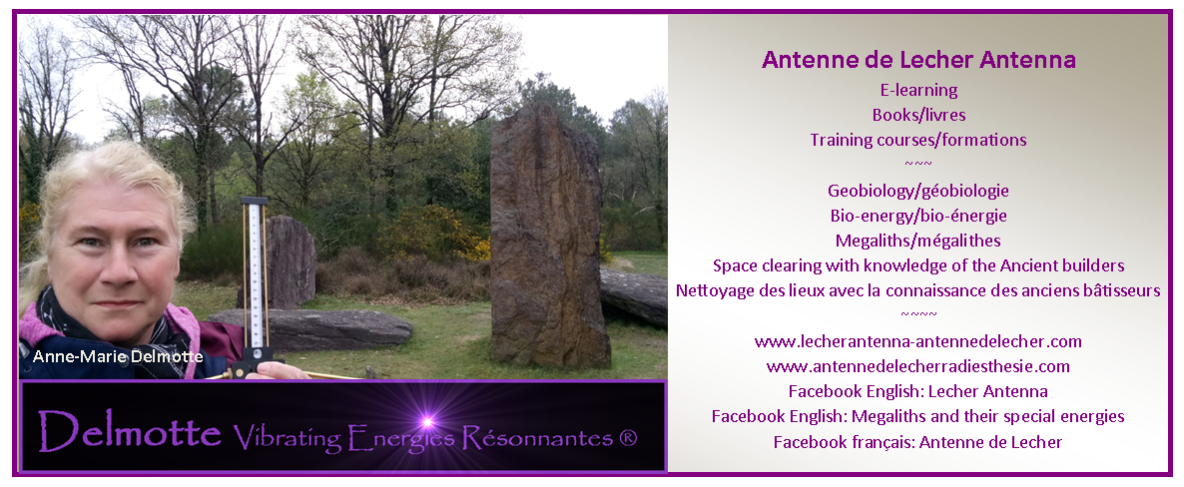 Information about Delmotte Vibrating Energies Resonnantes